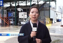 “面临前所未有的压力”美国加征关税冲击西班牙橄榄油出口