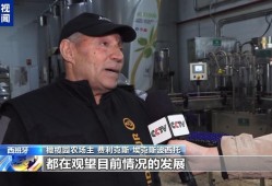 “面临前所未有的压力”美国加征关税冲击西班牙橄榄油出口